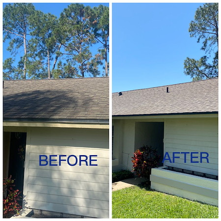Roof soft washing in dundee what homeowners should expect before during and after service