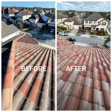 The importance of roof cleaning for florida homes